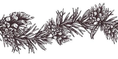 Branches of fir, spruce, pine with cones. Graphic illustration, hand drawn with brown ink, line art monochrome. Seamless border, pattern, garland on the theme of forest, harvest, nature, Christmas. vector