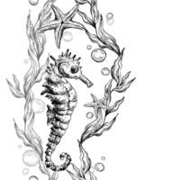 Seahorse, sea blue algae with leaves wriggling in wave with bubbles and coral starfish. Graphic illustration hand drawn in black ink underwater world Seamless vertical border pattern for long projects vector
