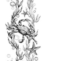 Crab, sea blue algae with leaves wriggling in wave with bubbles and coral starfish. Graphic illustration hand drawn in black ink underwater world. Seamless vertical border pattern for long projects vector