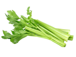 Health benefits of celery png