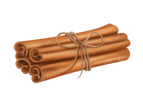 A bunch of fragrant cinnamon sticks tied with a jute rope. Spices for delicious food and drinks. Cozy handmade decor from recyclable materials, eco toy for a Christmas tree. Isolated illustration png