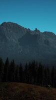 A view of a mountain range with trees in the foreground video
