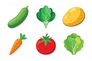 Carrot, Potato, Tomato, Cucumber, Lettuce, Spinach vegetables art vector