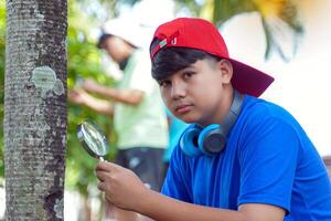 Asian boy uses a magnifying glass to look at the lichens growing on a palm tree to get a better look at the details. photo