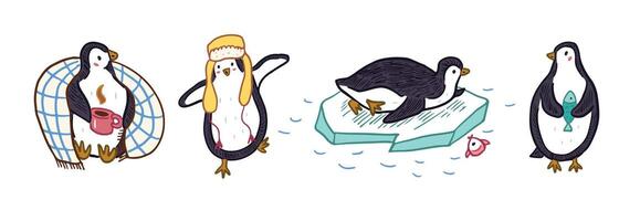 Four penguins are sitting on ice and one is holding a cup vector