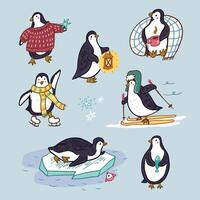 Penguin set with winter clothes and accessories vector