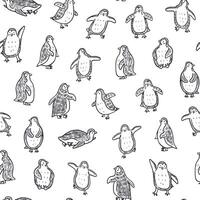 Penguins seamless pattern vector