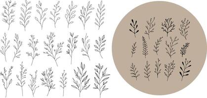 Set of minimalistic botanical sketches with leaves and branches vector