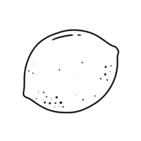Minimalist black and white line drawing of a whole lemon. Perfect for logos, design outlines, or as a base for coloring and creative projects. png