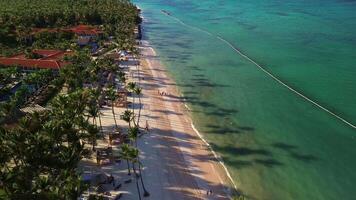 Aerial view of the buildings of a luxury hotel with swimming pools among exotic palm jungles,on the shore of a turquoise ocean,with a snow-white beach,in the rays of the setting sun,Dominican Republic video