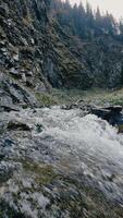 Fresh water flowing in mountain river near forest video