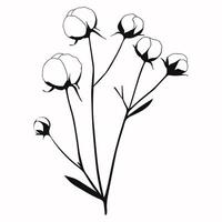 Cotton branches plants with leaves isolated on background. Black and white illustration vector