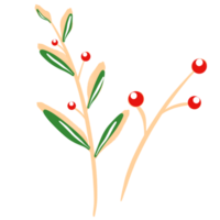 Christmas plants with red berries and green leaves png
