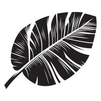 Black Banana Leaf Silhouette on White in Minimalist Style vector