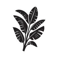 Minimalist Banana Leaf Silhouette on White Background vector