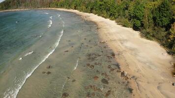 An aerial view of a sandy beach and forested shoreline video