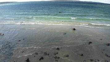 An aerial view of the beach and ocean video