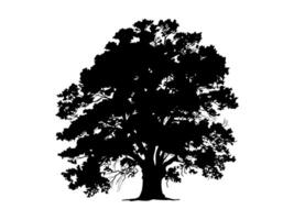 Black Trees and root with leaves look beautiful and refreshing. Tree and roots LOGO style. vector