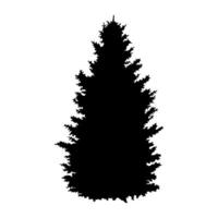 A tall and wide fir tree. Black silhouette on a white background. vector