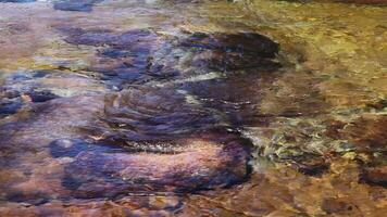 Shallow River Flowing Over Rocks Causing Ripples On Surface Of Water video