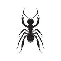 create a ant silhouette with a white background vector