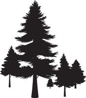 Pine tree branch with evergreen . Conifer tree silhouettes on the white background vector