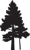 Evergreen pine tree branch . Conifer tree silhouettes on the white background Collection vector
