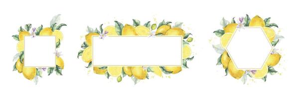 Lemon fruits, flowers, yellow splashes and leaves. Set hand drawn watercolor frame of Tropical citrus fruit. Wreath of lemon slices. Template for menu, package, cosmetic, textile, cards vector