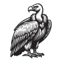 vulture outline art black color vector