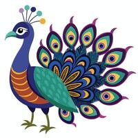 a colorful peacock with a colorful tail vector