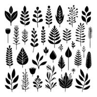 collection of plant elements in various elegant shapes ready to use vector