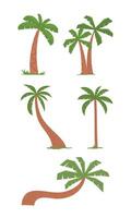 Hand draw palm tree colletion set vector