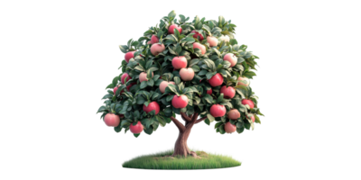 Apple Tree With Red Fruits Isolated On Transparent Background. Natural Design png