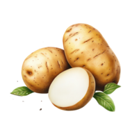 Potatoes with leaves on isolate transparent background png