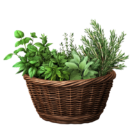Herbs in a basket on isolate transparent background png