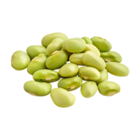 Fava Beans Isolated On Transparent Background png