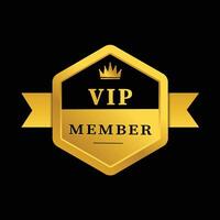 Elevate Your Status with VIP Member Privileges vector