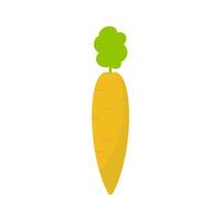 carrot vegetable illustration design vector
