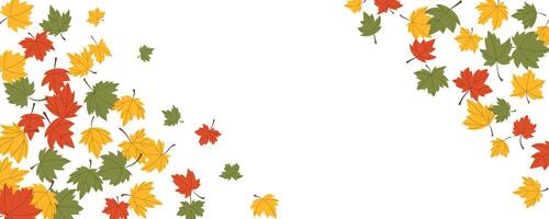 Frame with red, yellow and green color maple leaves illustration. Fall foliage space for text vector