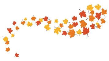 Autumn symbol nature with maple leaves yellow, red, orange color element wave in the wind vector