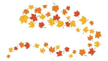 Maple leaf flying from tree on transparent background. fall season, wave cold air during windy weather vector