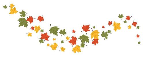 Flying maple leaves element decoration autumn season background. botanical vector