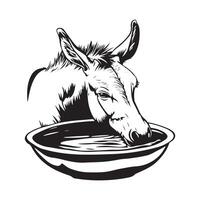 Animal Donkey Drinking Water stock image isolated on white background vector