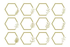 Gold hexagon frames with leaves and flowers vector