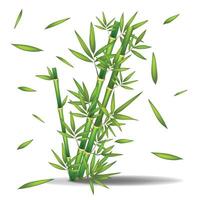 A group of bamboo sticks with the leaves a on it. Green Bamboo Background vector