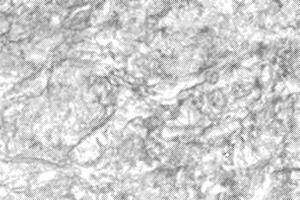 Grunge vintage halftone texture effect . Black dots pattern on white background. vector