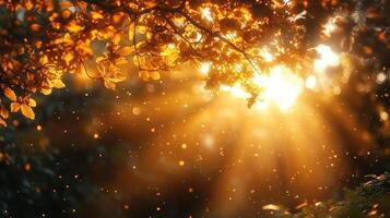 Golden sunlight filters through leaves, creating magical atmosphere filled with shimmering particles. warm glow evokes sense of tranquility and wonder photo