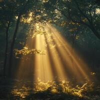 image captures natural sun rays filtering through dense forest, creating serene and tranquil atmosphere. interplay of light and shadow enhances beauty of lush greenery photo