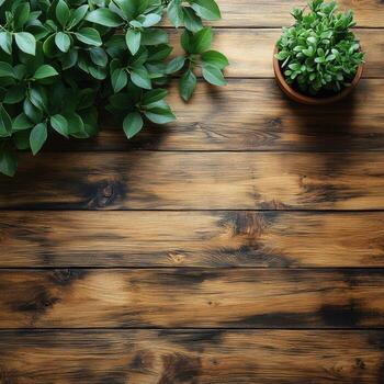 top down view of wooden table featuring potted plant and greenery, creating serene and natural atmosphere. warm tones of wood enhance calming effect photo