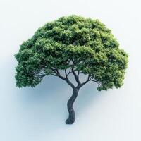 hyper realistic isometric view of lush green tree with textured trunk, showcasing vibrant foliage and intricate details. This captures beauty of nature photo